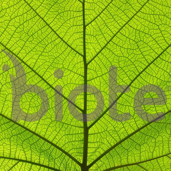 BioTe Hormone Pellet Therapy Services Dr. Amy Tomlinson MD